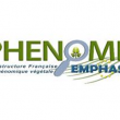 Logo Phenome-Emphasis